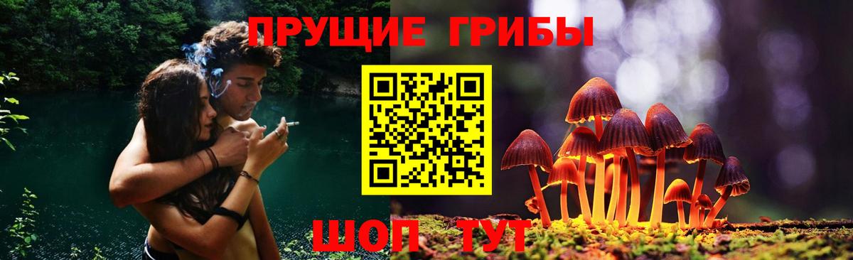 Псилоцибиновые грибы ЛСД  Вход с VPN  Бердск 